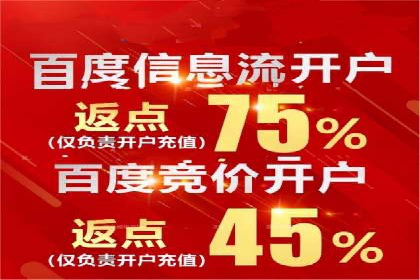 百度广告投放技巧及效果评估案例